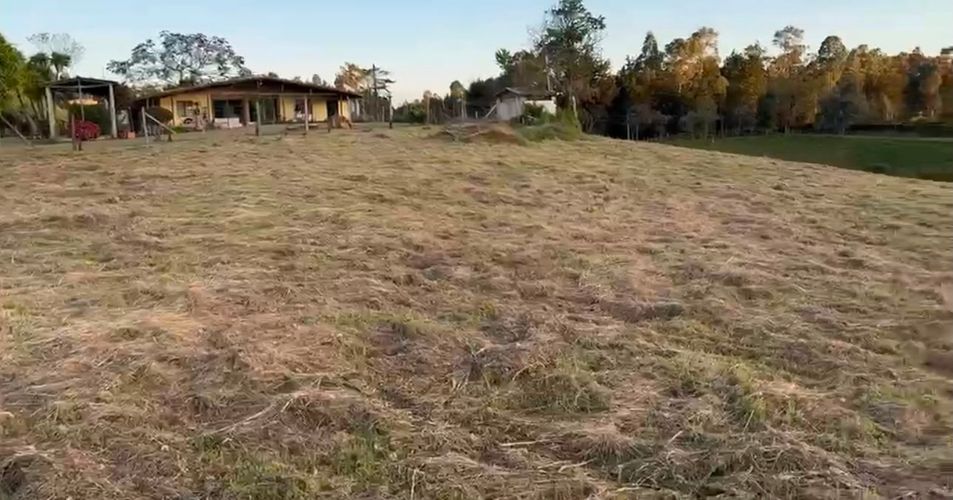 Lote en venta en Pantanillo, Envigado, 2649 m² · foto 7 de 7