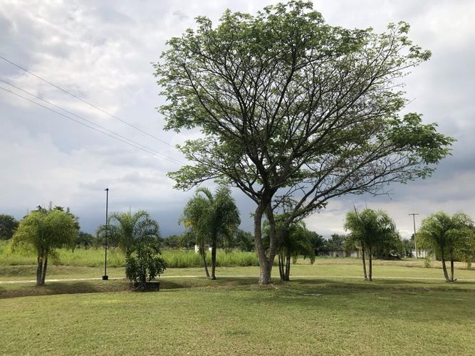 Lote en venta en La Morada, Jamundí, 1200 m² · foto 6 de 8