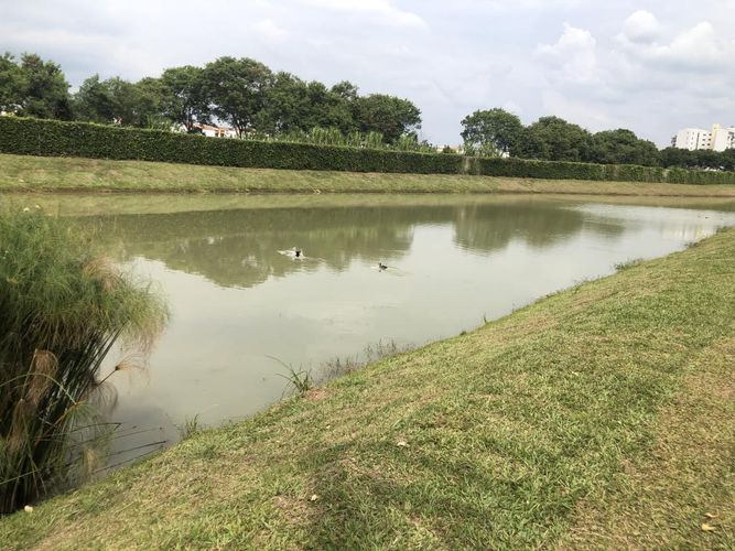 Lote en venta en La Morada, Jamundí, 1200 m² · foto 7 de 8