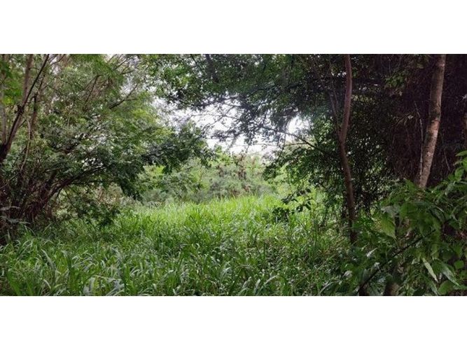Lote en venta en Belalcazar, Yumbo, 2000 m² · foto 19 de 24