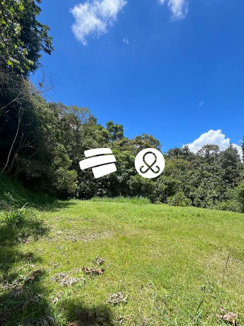 Lote en venta en Vía Las Palmas, Envigado, 2882 m² · foto 2 de 12