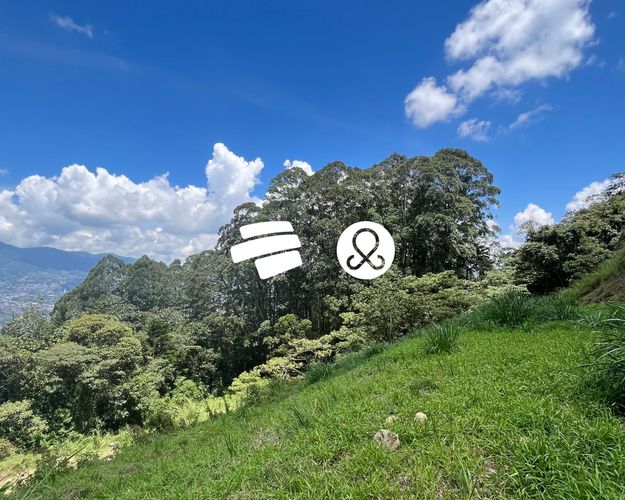 Lote en venta en Vía Las Palmas, Envigado, 3840 m² · foto 2 de 12