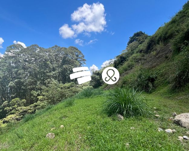Lote en venta en Vía Las Palmas, Envigado, 3840 m² · foto 5 de 12