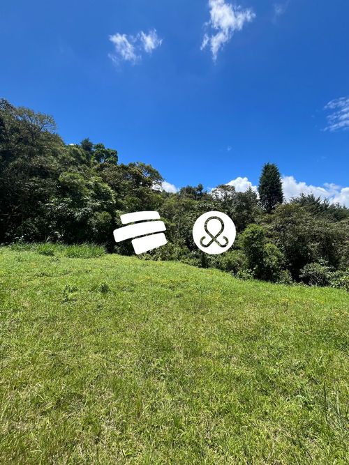 Lote en venta en Vía Las Palmas, Envigado, 2882 m² · foto 10 de 12
