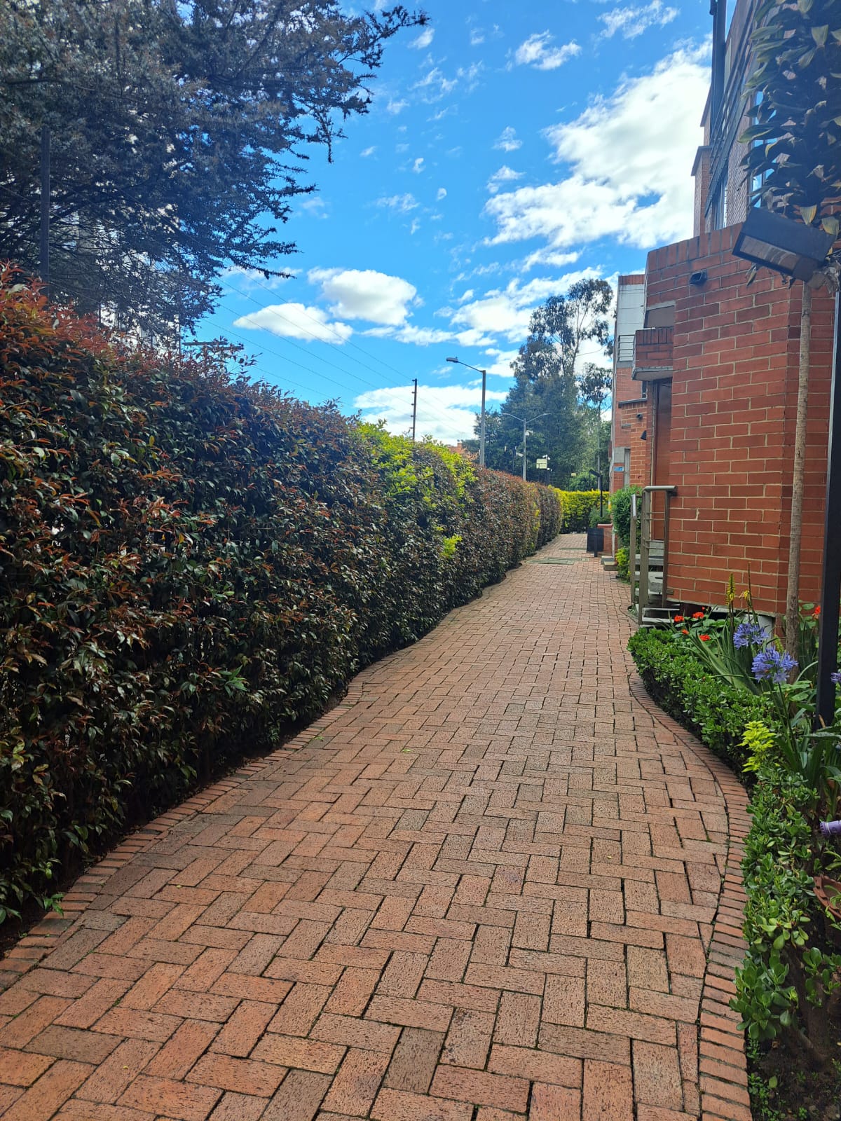 Casa en venta en Quinta Paredes, Bogotá · foto 11 de 22