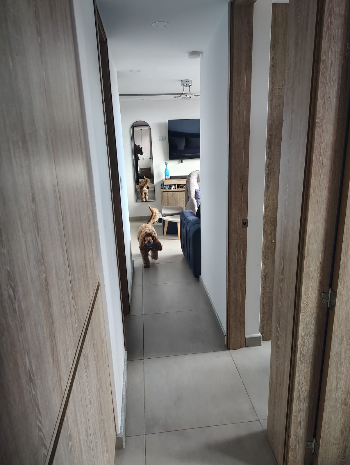 Apartamento en venta en Fontibon, Bogotá · foto 8 de 24