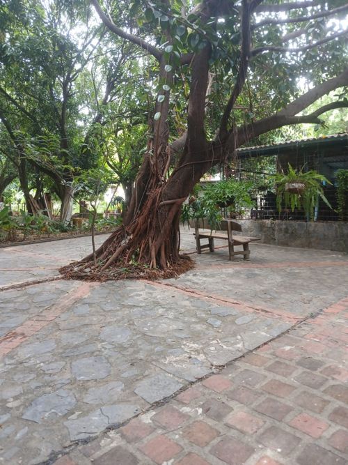 Finca en venta en Corregimiento De Bonda, Santa Marta, 65815 m² · foto 5 de 20