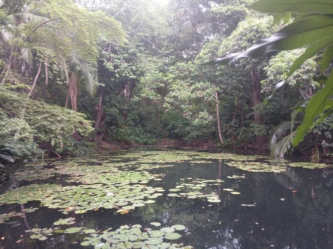 Finca en venta en Corregimiento De Bonda, Santa Marta, 65815 m² · foto 6 de 20