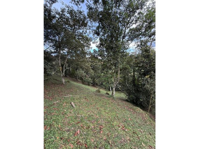 Lote en venta en El Tablazo, Rionegro, 4692 m² · foto 3 de 6