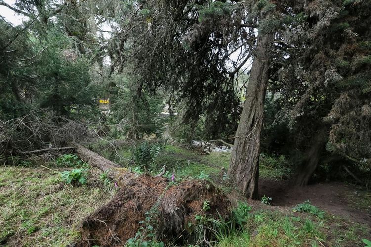 Finca en venta en El Hato, La Calera, 150 m² · foto 2 de 22