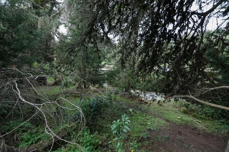 Finca en venta en El Hato, La Calera, 150 m² · foto 4 de 22