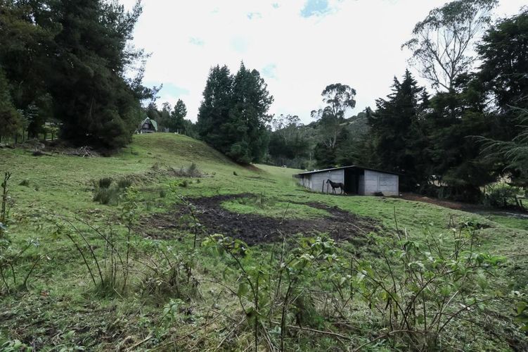 Finca en venta en El Hato, La Calera, 150 m² · foto 5 de 22