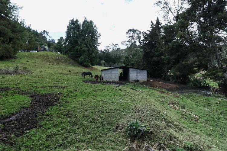 Finca en venta en El Hato, La Calera, 150 m² · foto 6 de 22