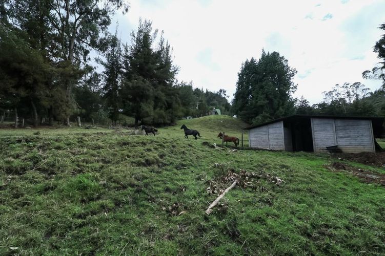 Finca en venta en El Hato, La Calera, 150 m² · foto 7 de 22