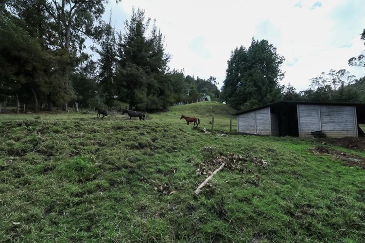 Finca en venta en El Hato, La Calera, 150 m² · foto 9 de 22