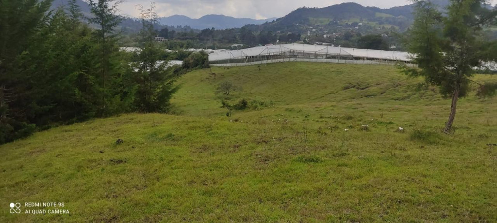 Land in Pontezuela for Sale
