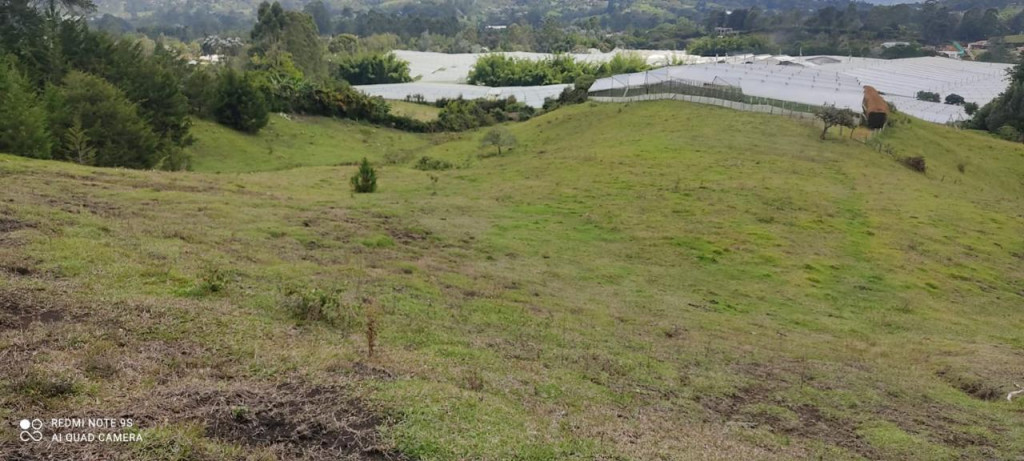 Land in Pontezuela for Sale - 3