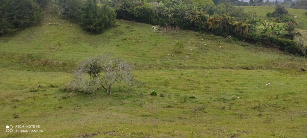 Land in Pontezuela for Sale - 4