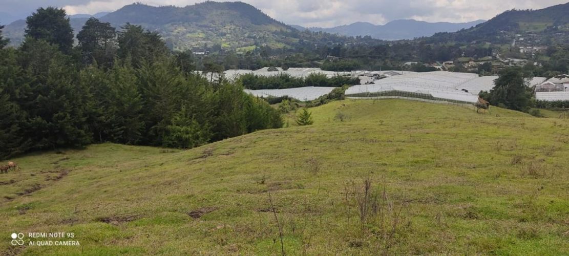 Lote en venta en Pontezuela, Rionegro, 34943 m² · foto 7 de 9