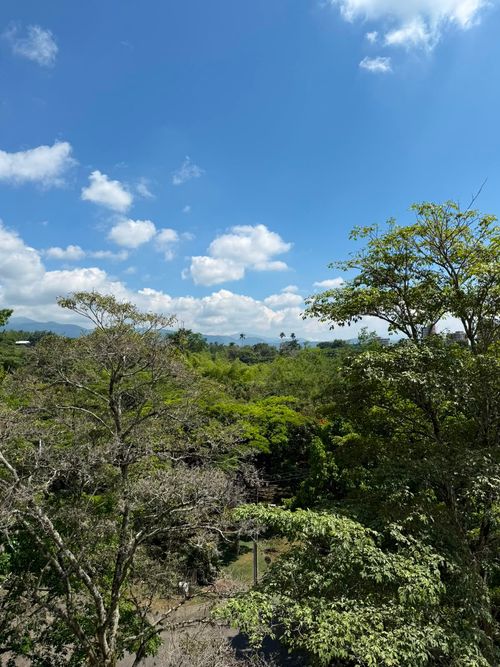 Apartamento de 4 alcobas en venta en Ciudad Jardin, Cali, 190 m² · foto 10 de 24