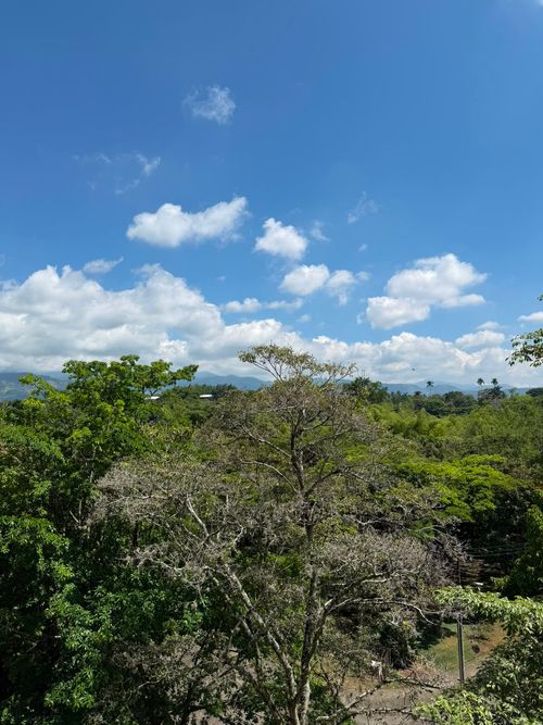 Apartamento de 4 alcobas en venta en Ciudad Jardin, Cali, 190 m² · foto 12 de 24