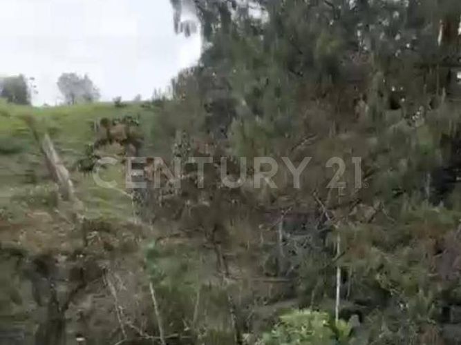 Lote en venta en Pantanillo, El Retiro, 1900 m² · foto 9 de 13