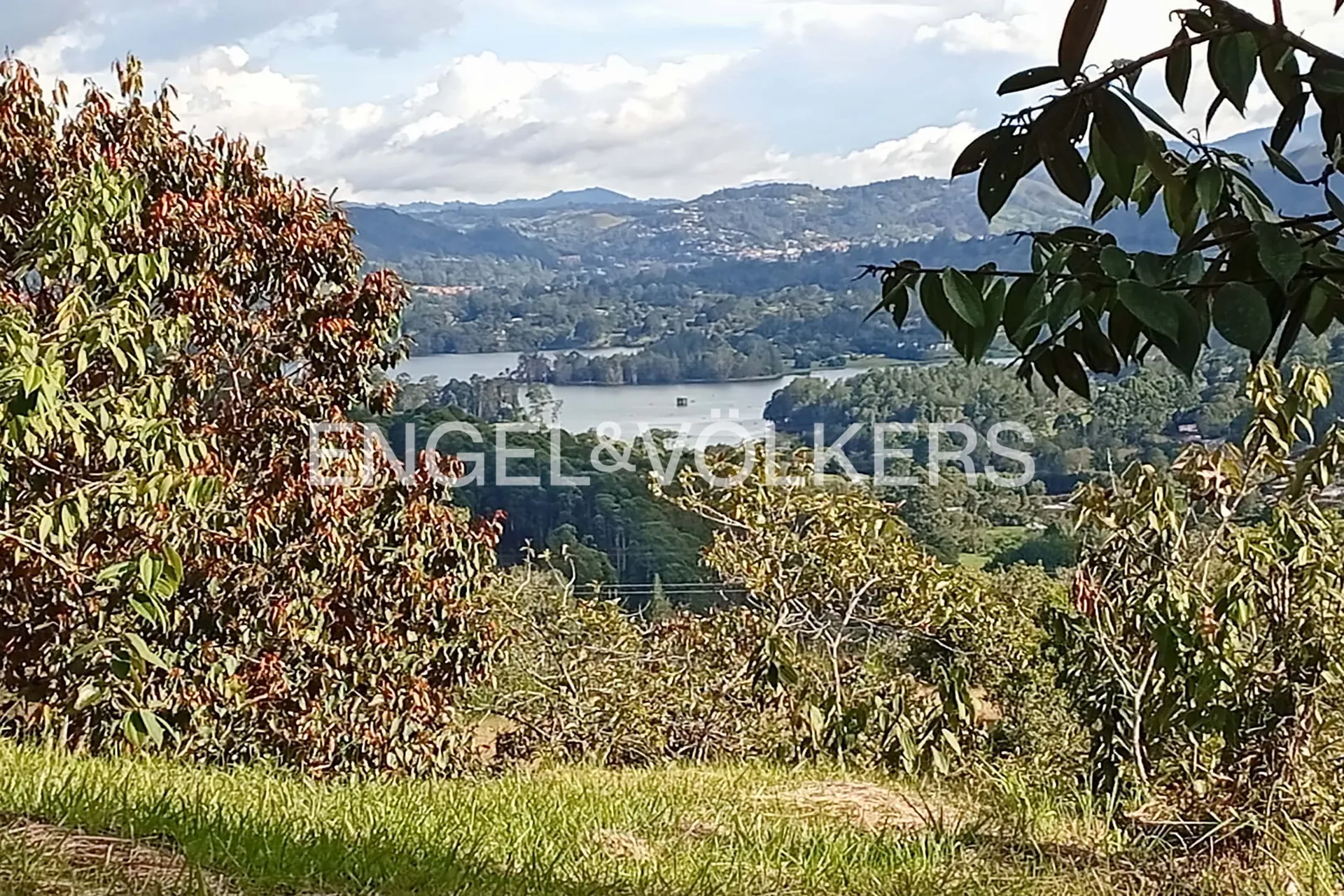 Land in Los salados for Sale - 4