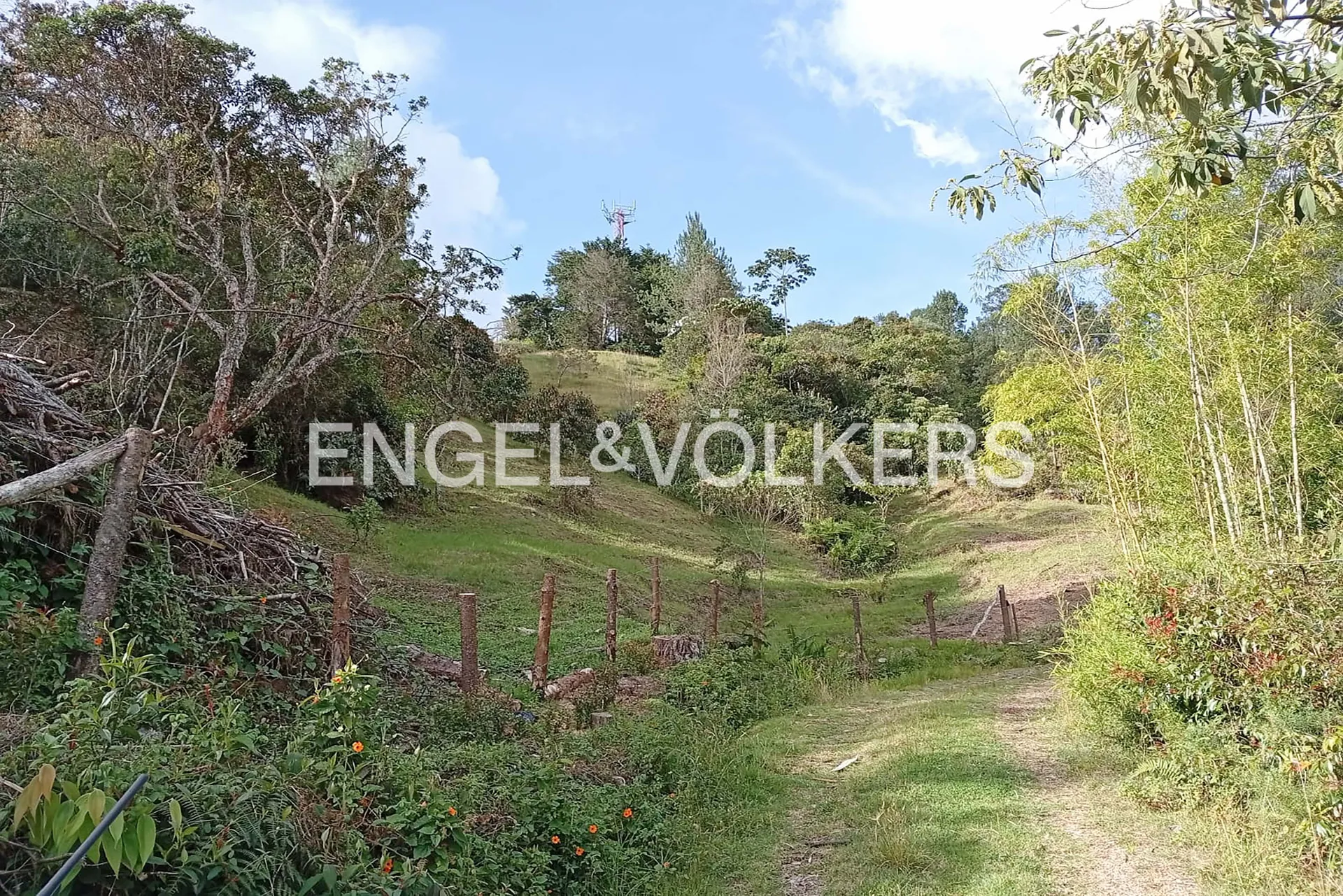 Land in Los salados for Sale - 3
