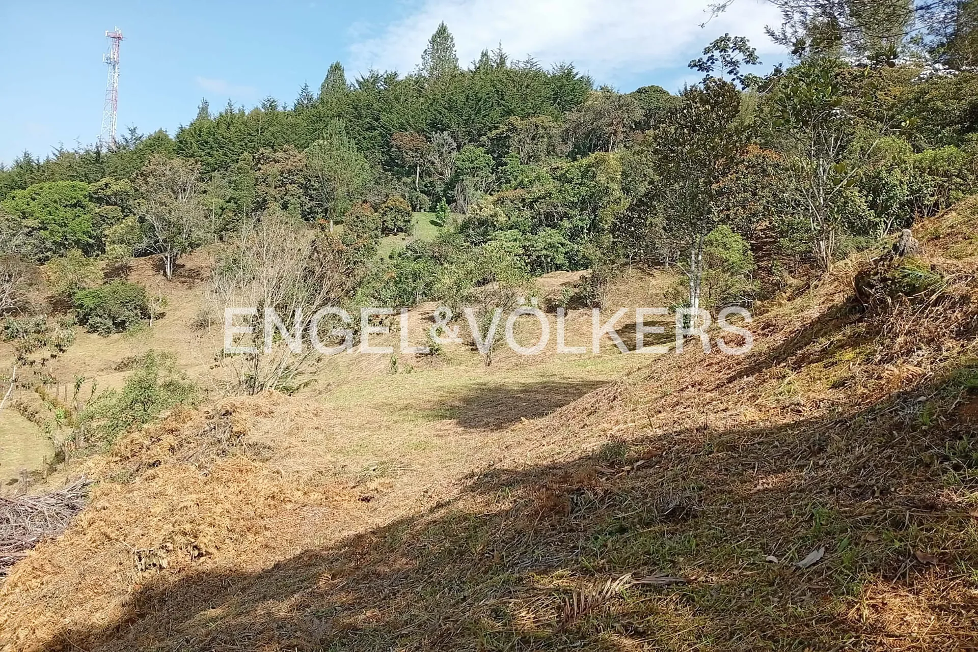 Land in Los salados for Sale - 2