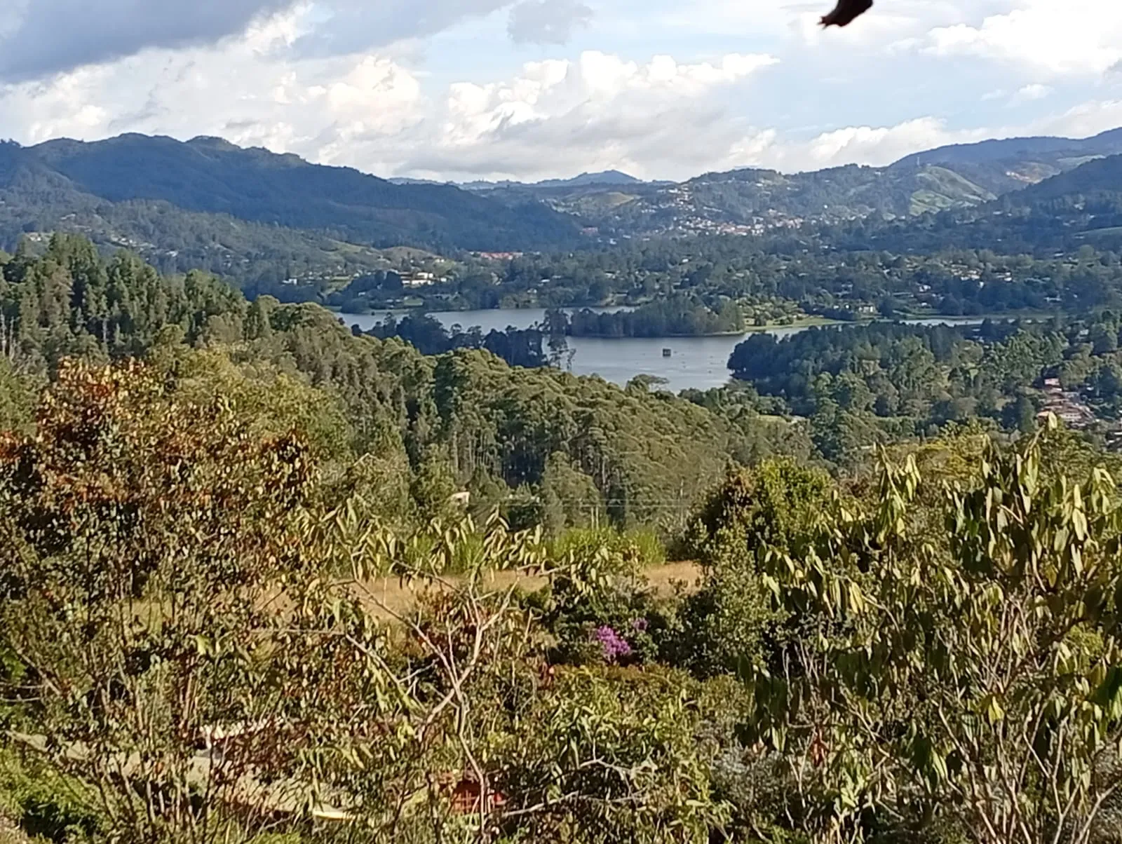 Land in Los salados for Sale