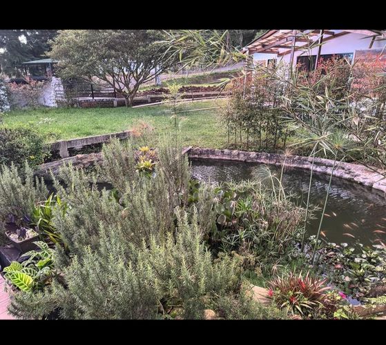 Casa de 3 alcobas en venta en El Manzano, Pereira, 1074 m² · foto 11 de 24
