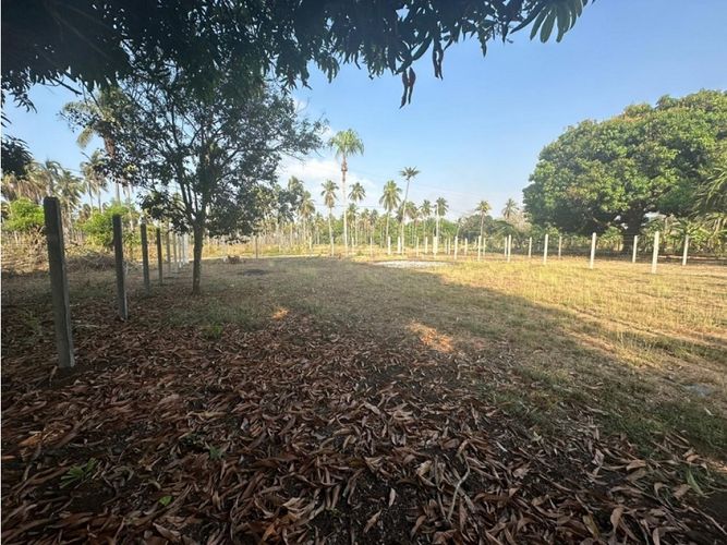 Lote en venta en Montería, 500 m² · foto 3 de 5