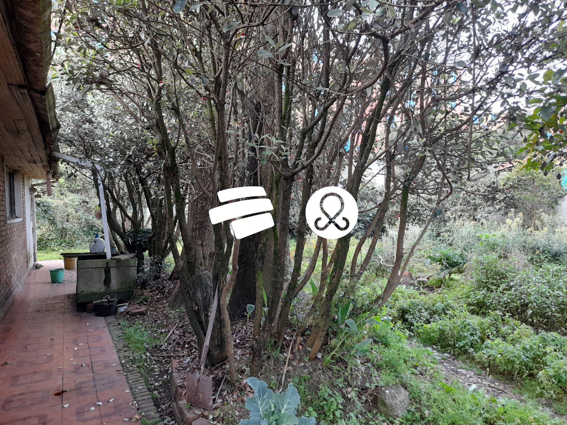 Casa en venta en Engativá, Bogotá · foto 5 de 6