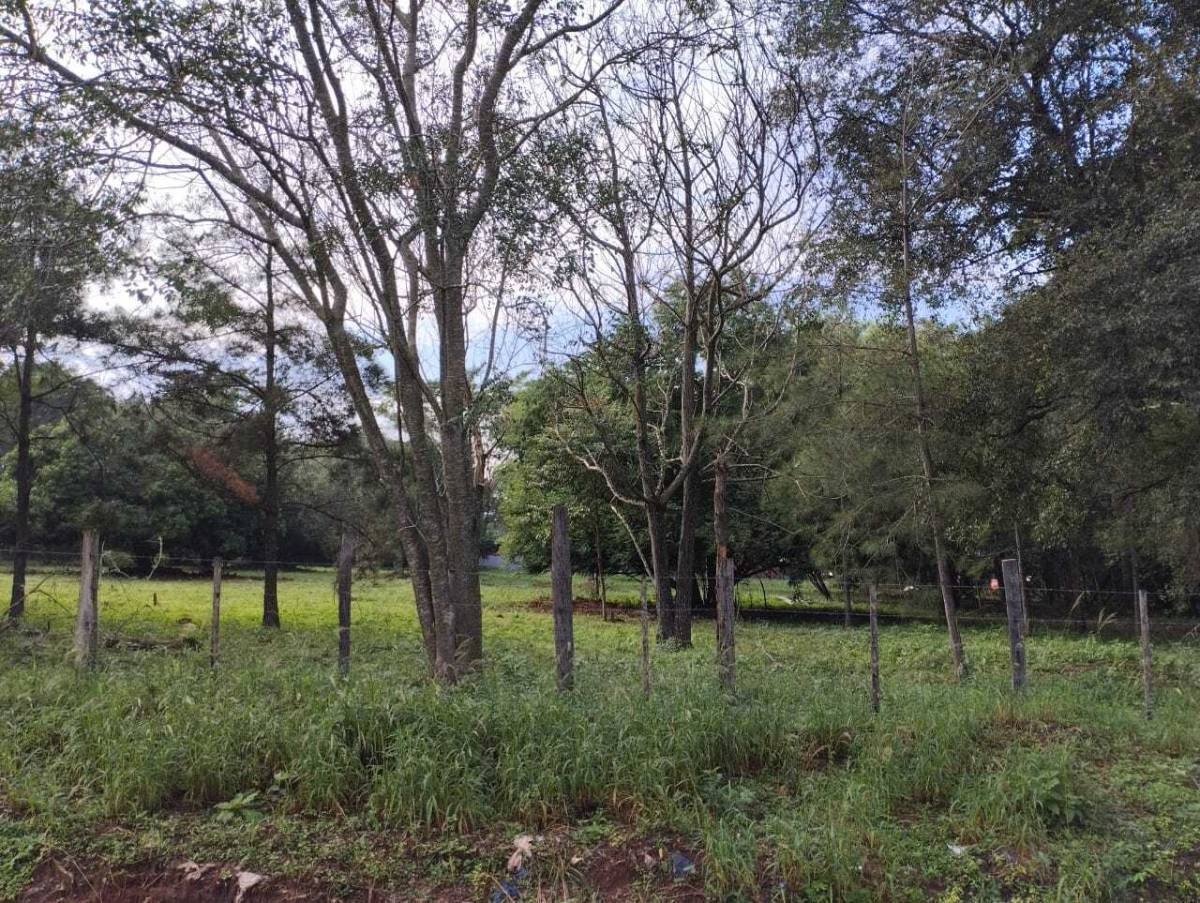 VENDO TERRENO DE 12.404M2 EN BARRIO PRIMAVERA DE LUQUE — foto 2