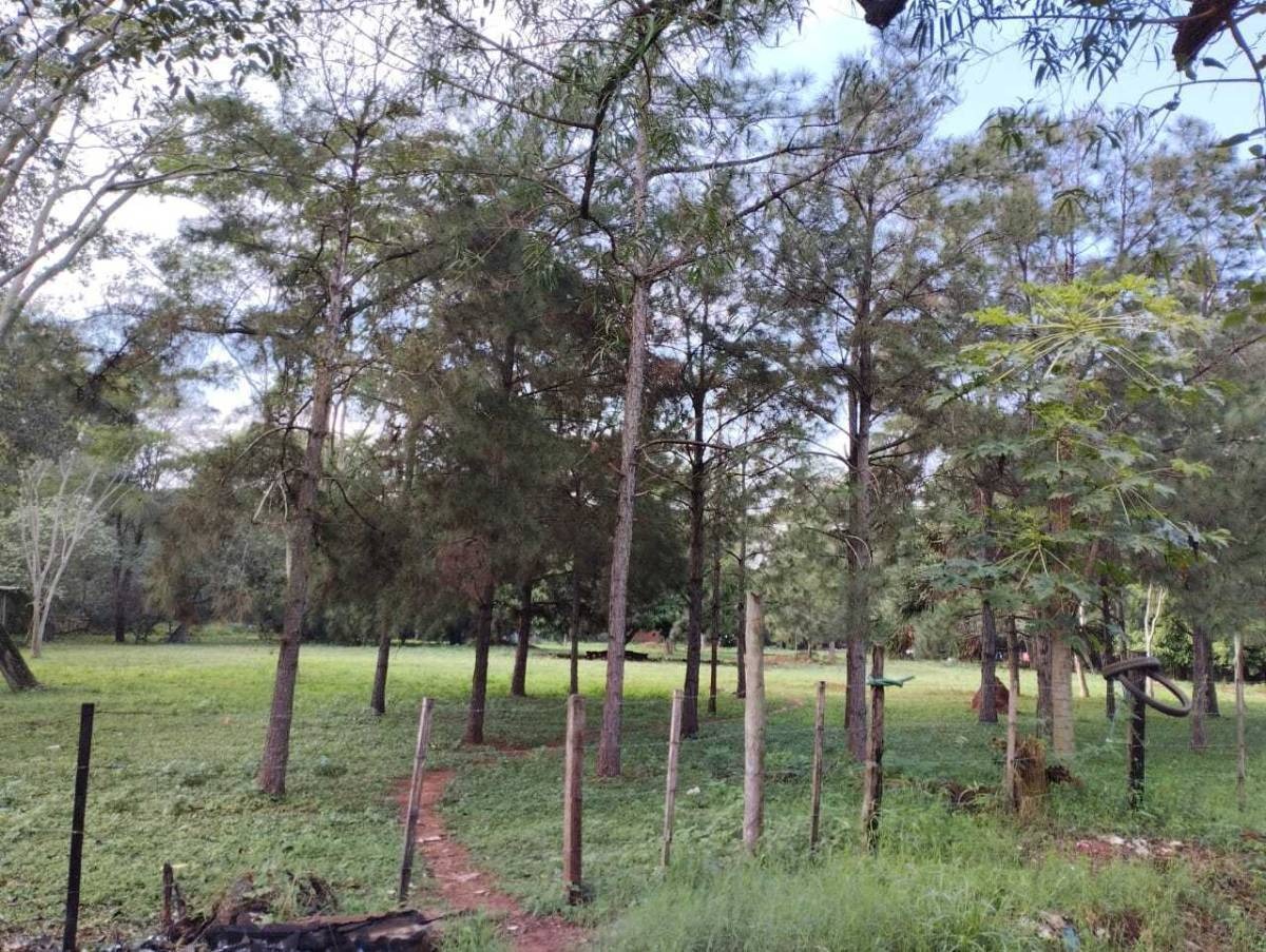 VENDO TERRENO DE 12.404M2 EN BARRIO PRIMAVERA DE LUQUE — foto 3