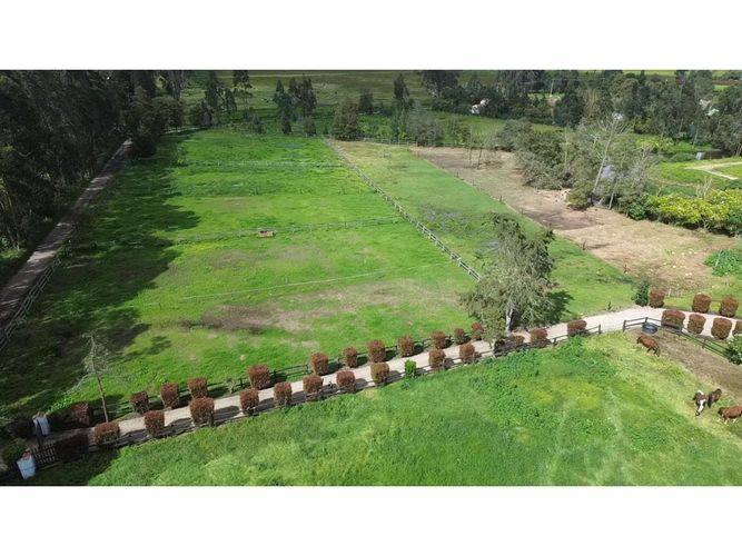 Lote en venta en San Jose, Mosquera, 4000 m² · foto 5 de 24