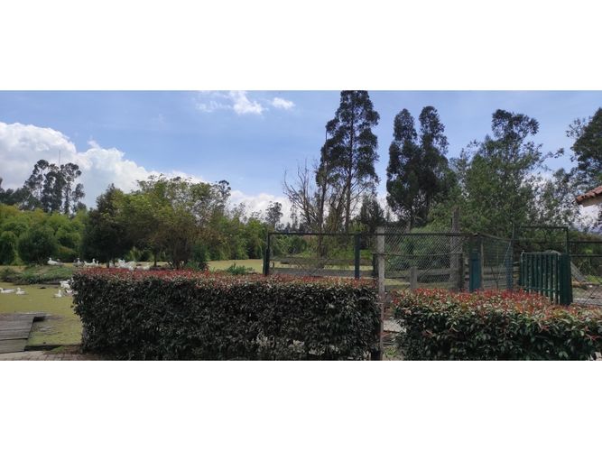 Lote en venta en San Jose, Mosquera, 4000 m² · foto 22 de 24
