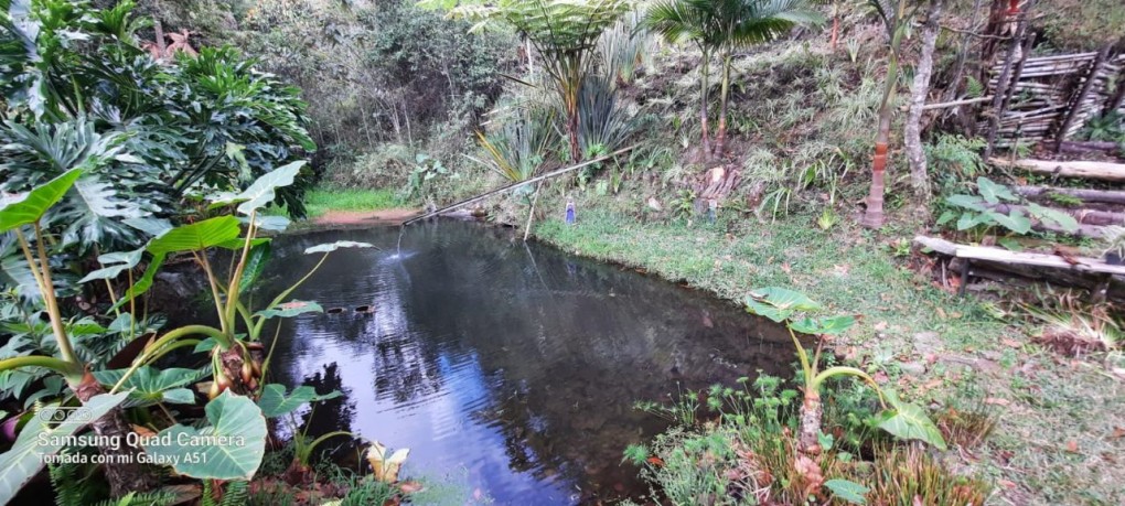 5BR Country House in Aeropuerto for Sale - 4