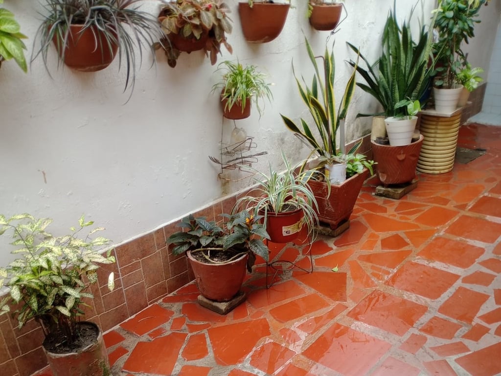 Casa en venta en La Julia, Montería · foto 10 de 12