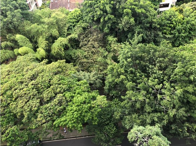 Apartamento de 3 alcobas en venta en Santa Teresita, Cali, 180 m² · foto 11 de 24