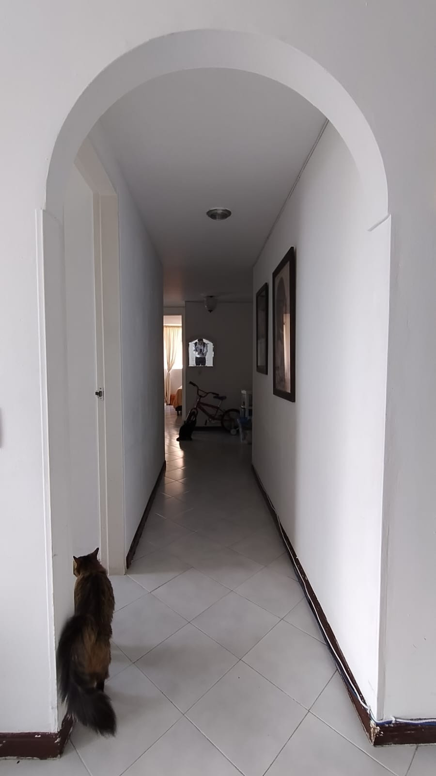 Apartamento en venta en Calasanz, Medellín · foto 17 de 22