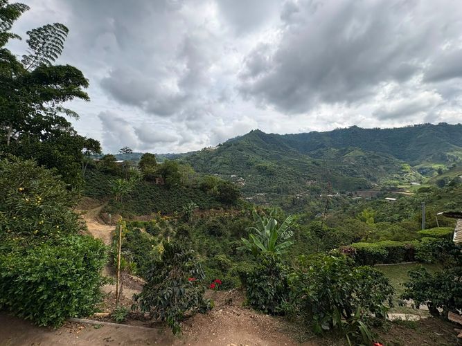 Finca en venta en Alto Bonito, Manizales, 100 m² · foto 5 de 16