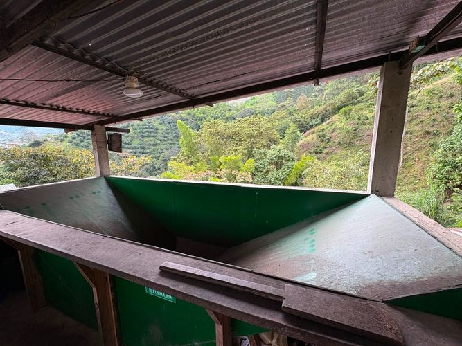 Finca en venta en Alto Bonito, Manizales, 100 m² · foto 6 de 16