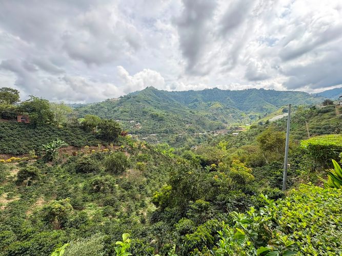 Finca en venta en Alto Bonito, Manizales, 100 m² · foto 9 de 16