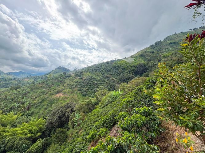 Finca en venta en Alto Bonito, Manizales, 100 m² · foto 10 de 16
