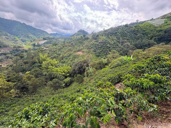 Finca en venta en Alto Bonito, Manizales, 100 m² · foto 16 de 16