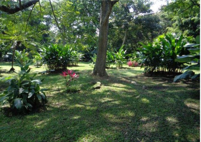 Casa de 4 alcobas en venta en Pance, Cali, 420 m² · foto 5 de 24