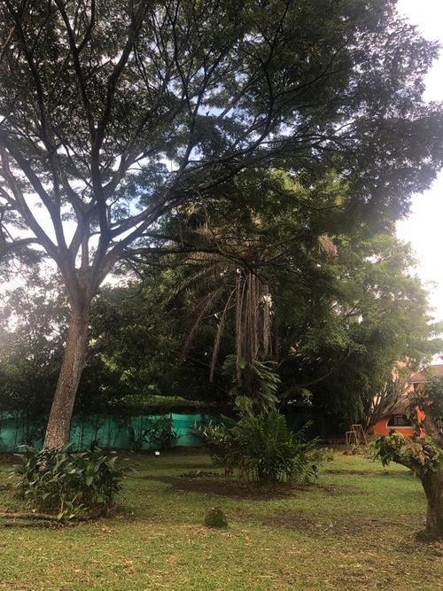 Casa de 4 alcobas en venta en Pance, Cali, 420 m² · foto 13 de 24