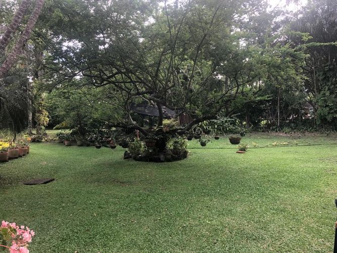 Casa de 4 alcobas en venta en Pance, Cali, 420 m² · foto 15 de 24