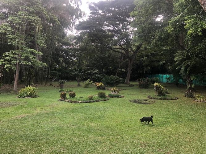 Casa de 4 alcobas en venta en Pance, Cali, 420 m² · foto 16 de 24